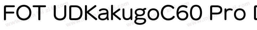 FOT UDKakugoC60 Pro DB字体转换